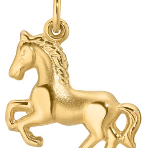 Anhänger Pferd